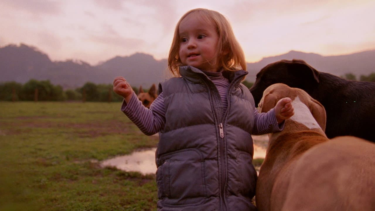 Post Tenebras Lux still 8