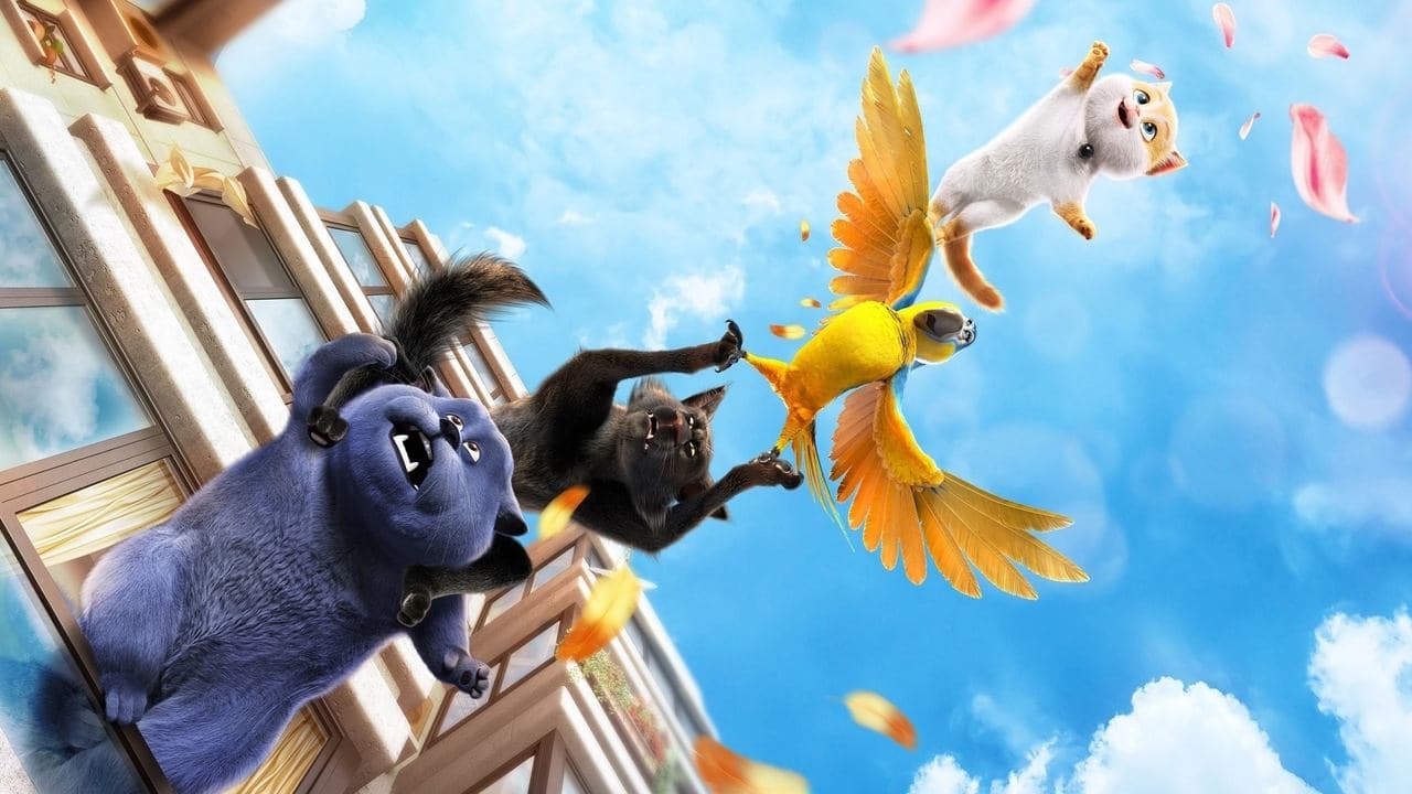 Cats still 2