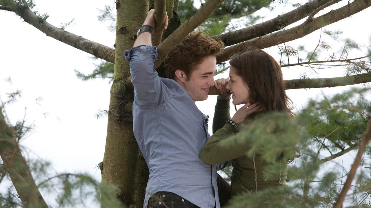Twilight still 8