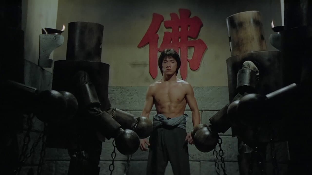 Shaolin Wooden Men still 6