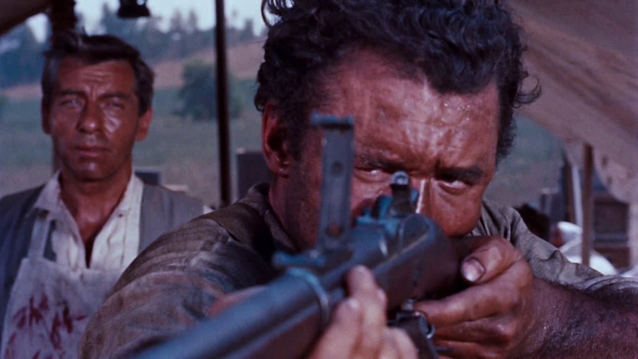 Run of the Arrow still 5