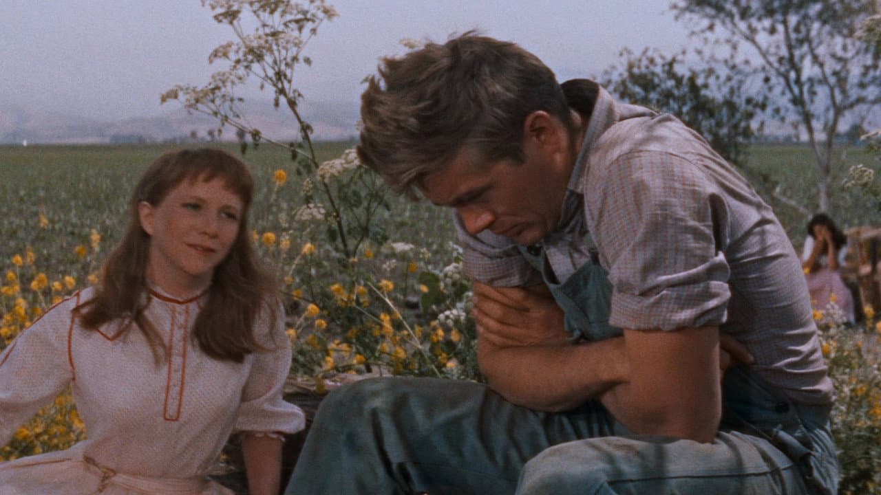 East of Eden Trailer: Florence Pugh Wrecks Hearts in still 8