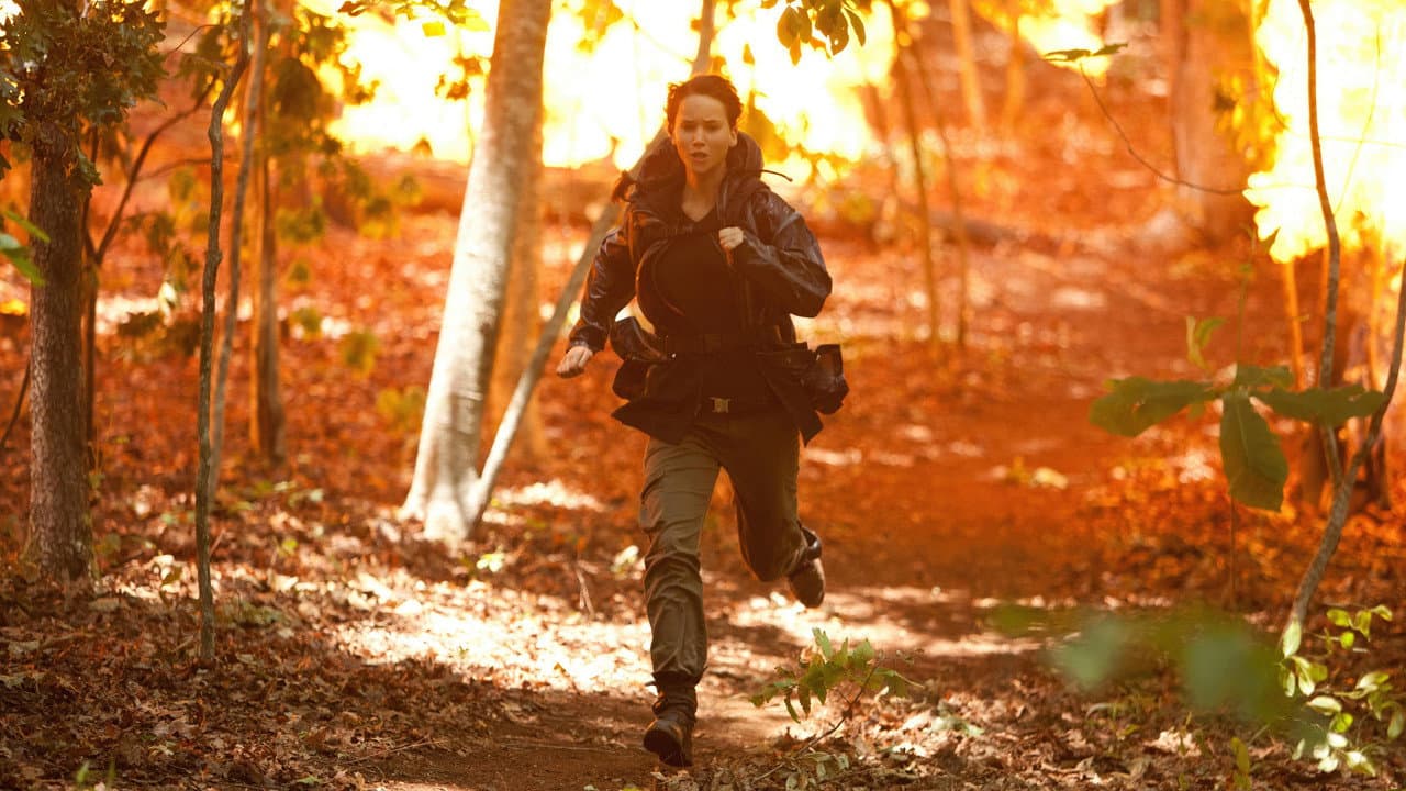 The Hunger Games still 8