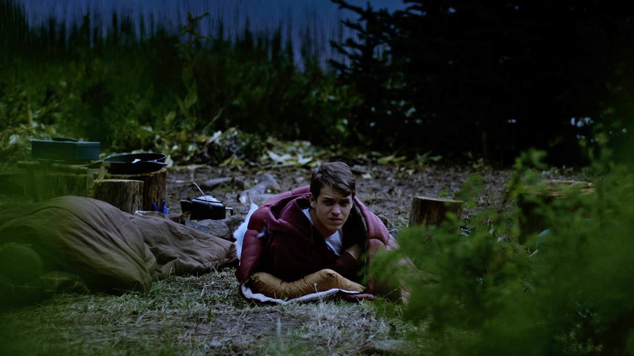 Grizzly Night still 5