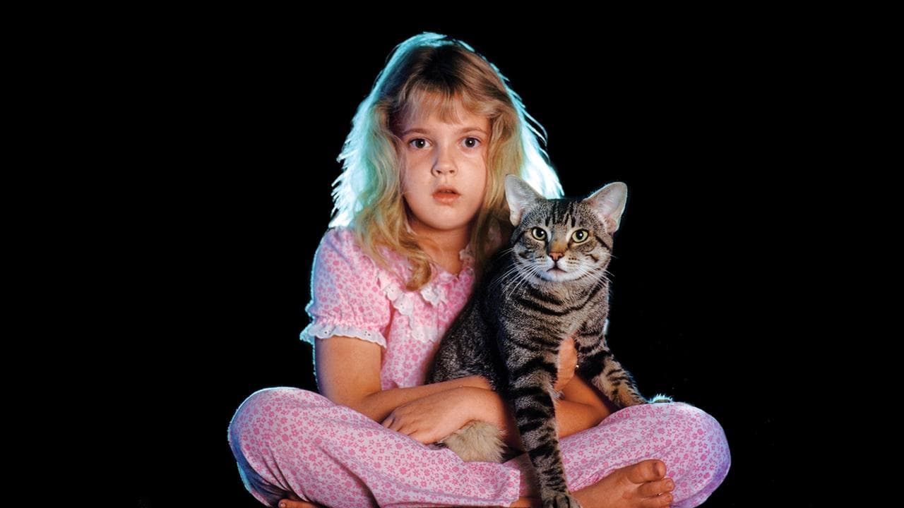 Cat's Eye still 3