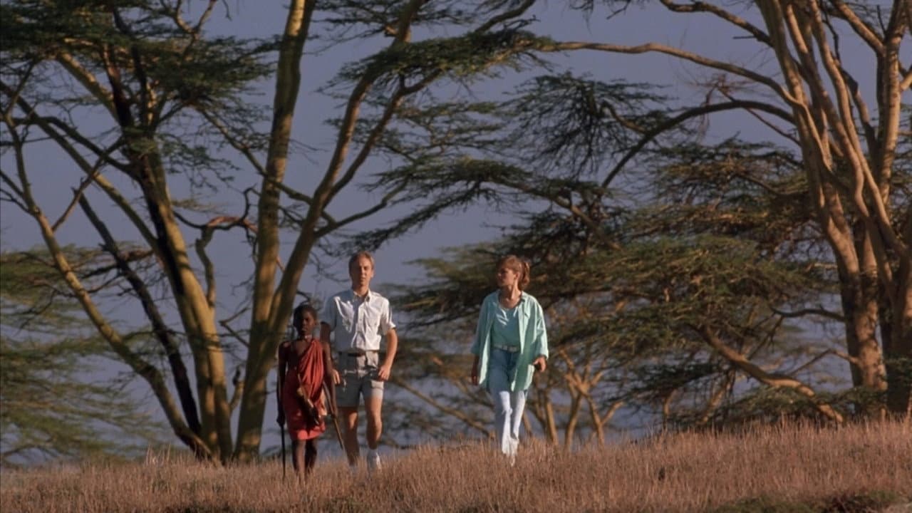 Cheetah still 2