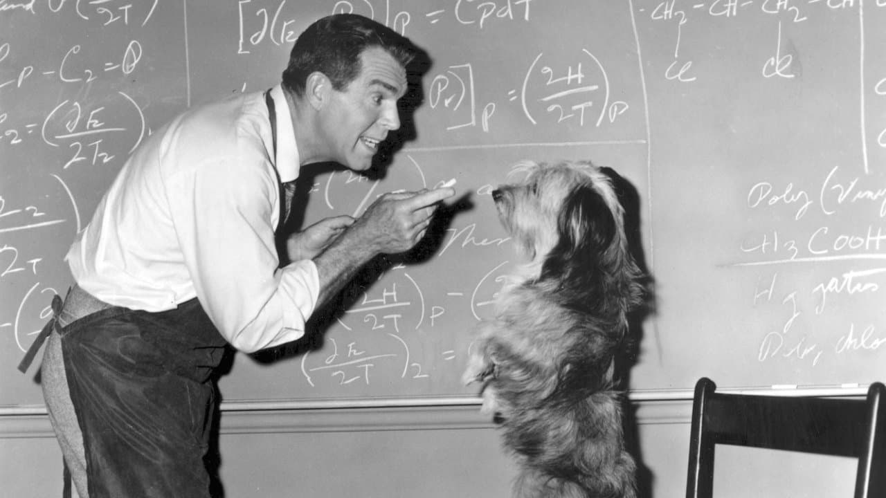 The Absent-Minded Professor still 1