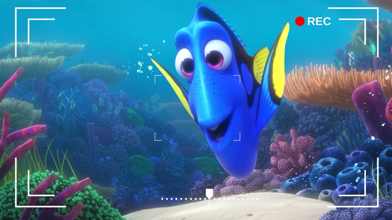 Dory's Reef Cam still 2