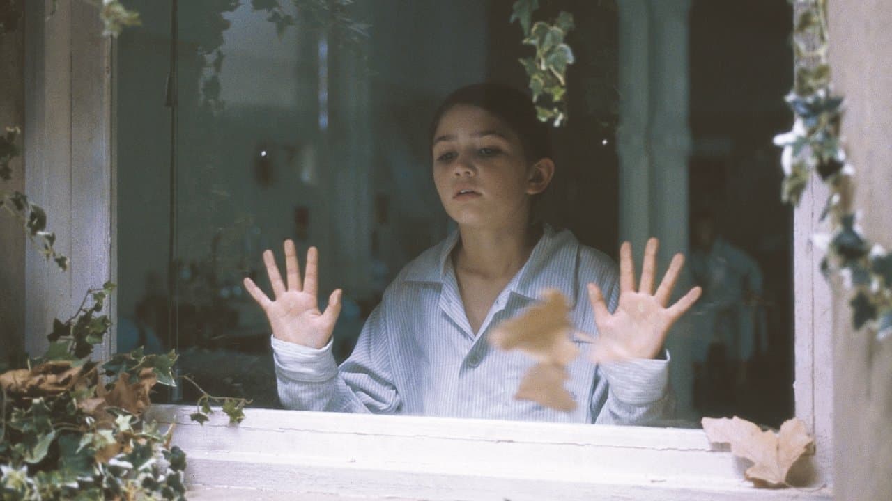 Fragile still 1