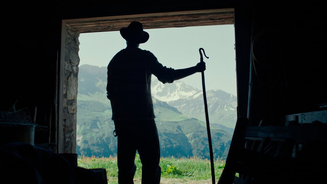 Shepherds still 4