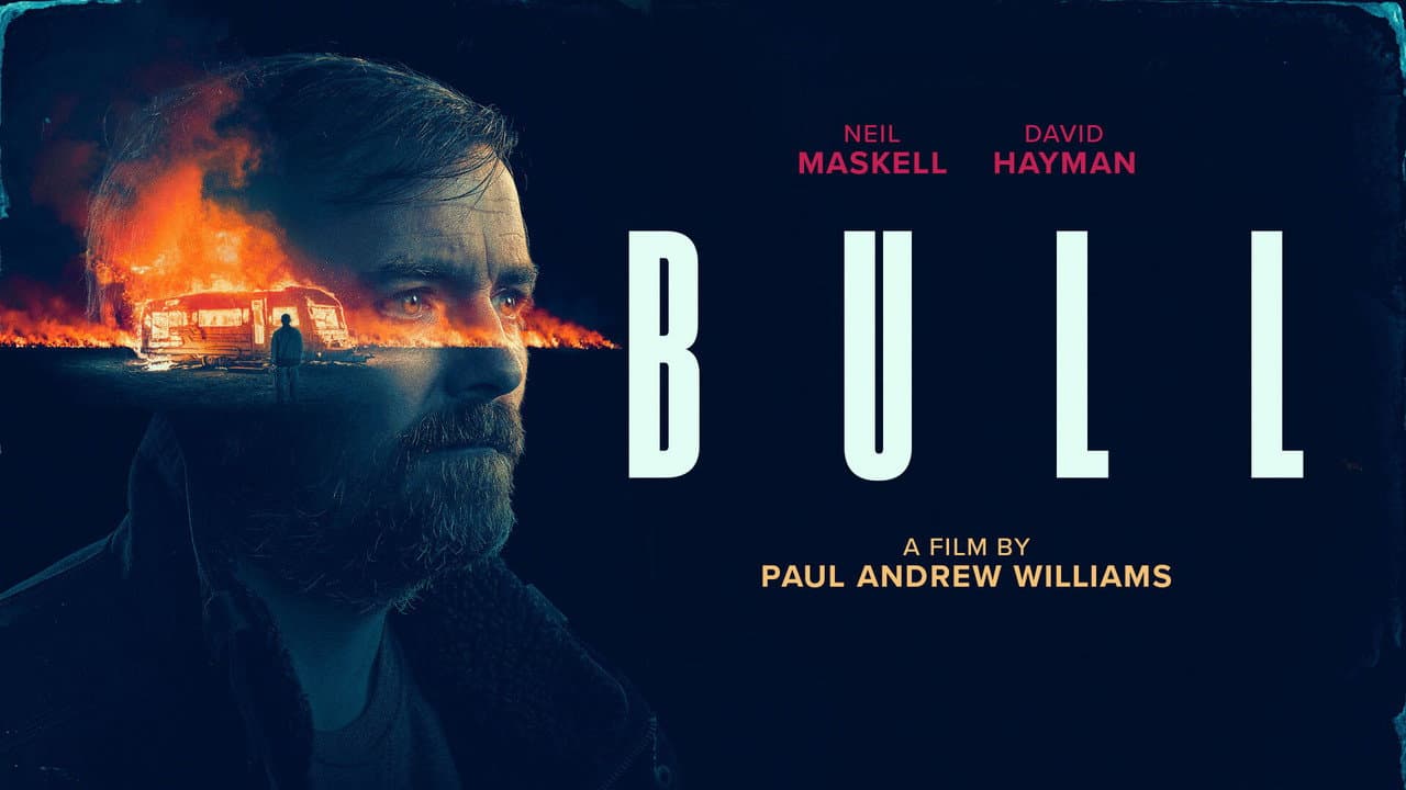 Bull still 6
