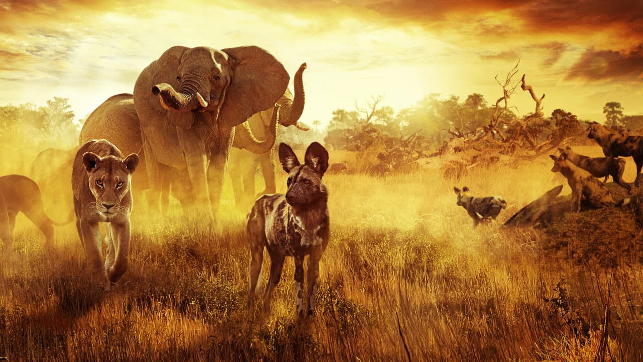 Surviving Paradise: A Family Tale still 5