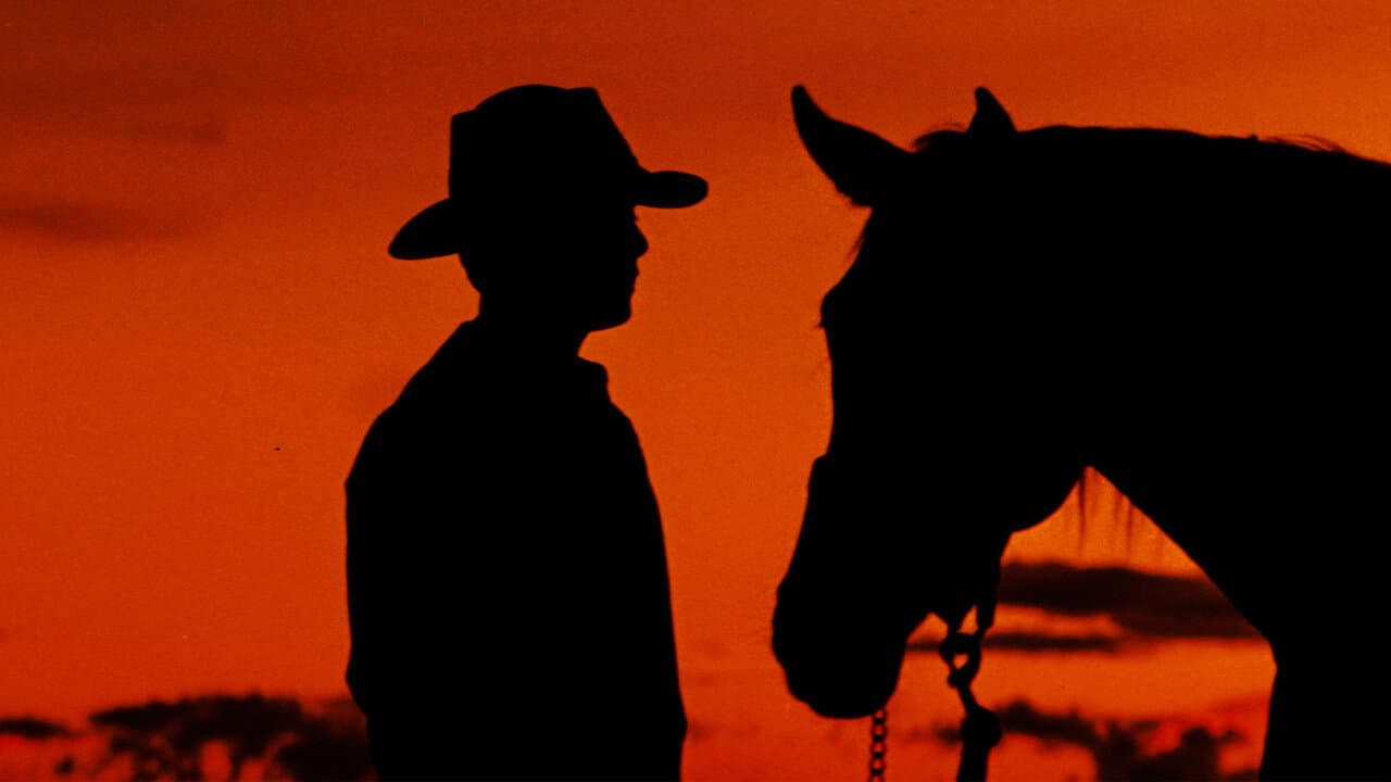 The Man from Snowy River still 6