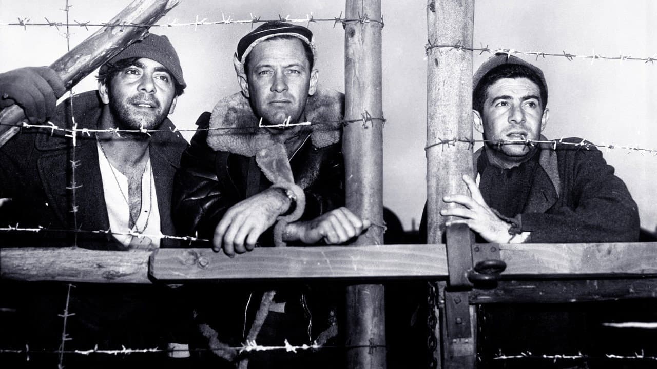 Stalag 17 still 7