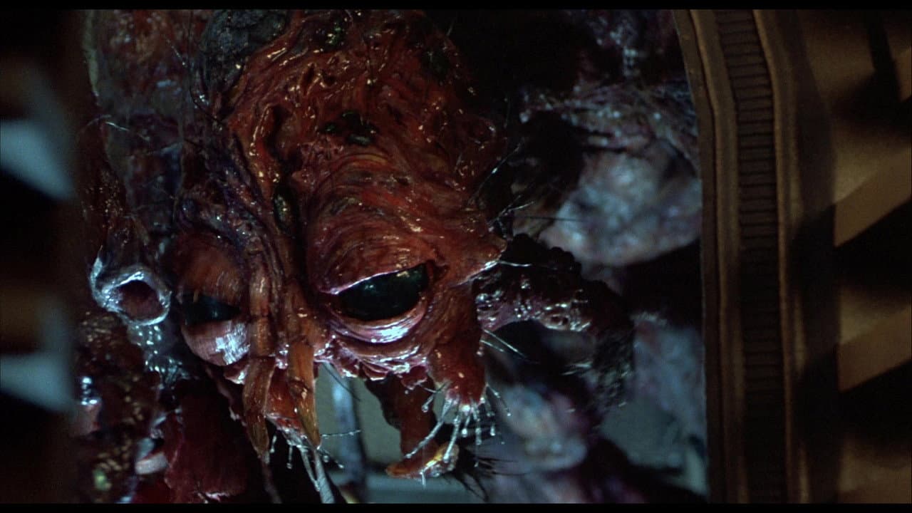 The Fly still 8