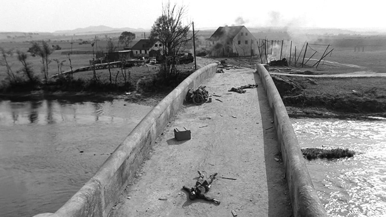 The Bridge still 8