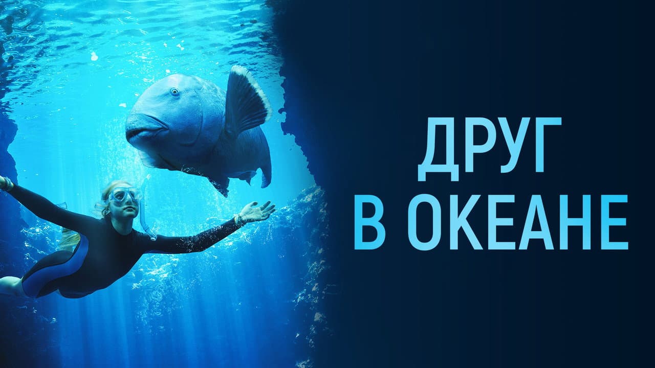 Blueback still 8