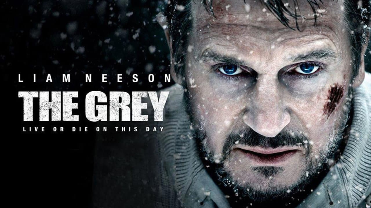 The Grey still 7