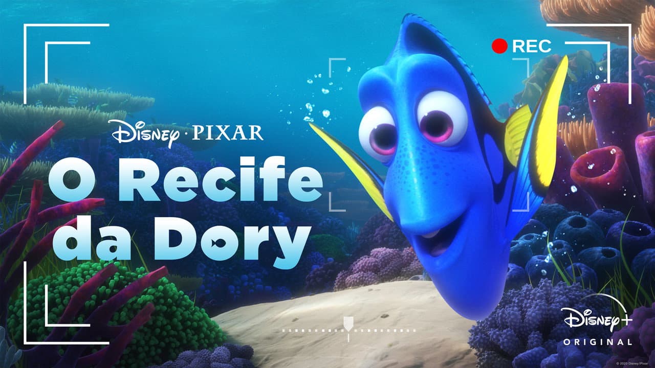 Dory's Reef Cam still 5