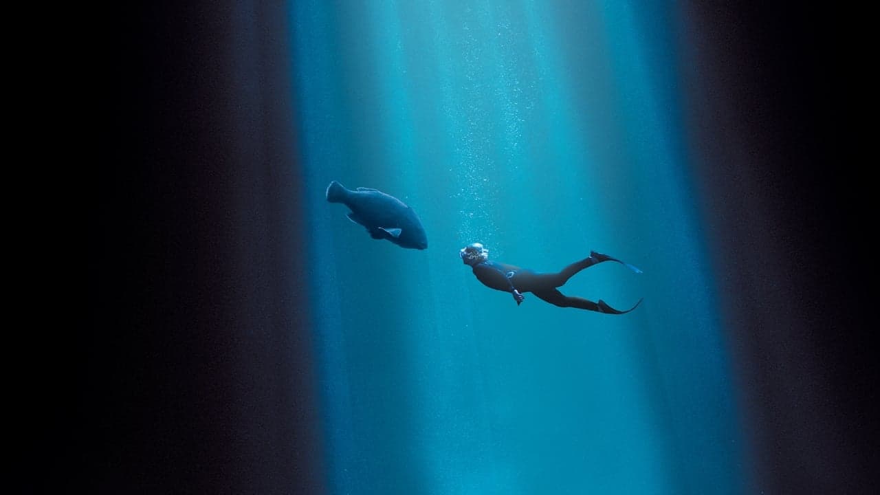 Blueback still 3