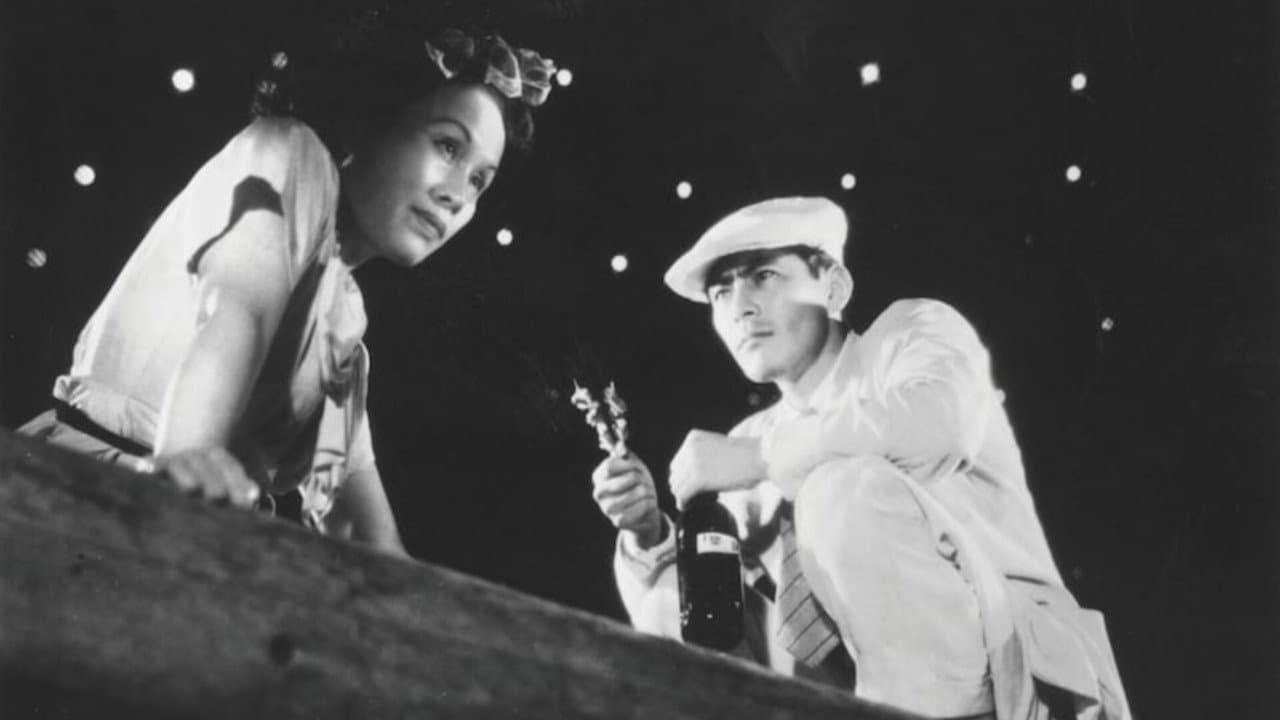 Stray Dog still 7