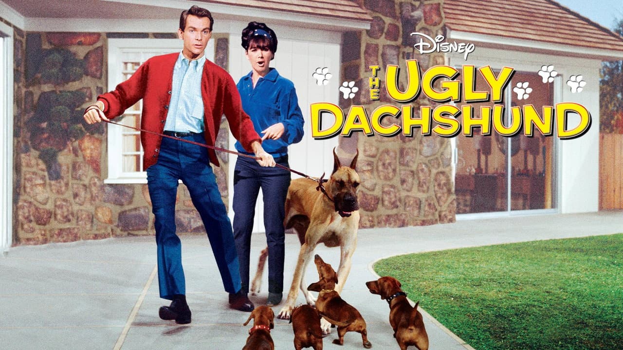 The Ugly Dachshund still 7