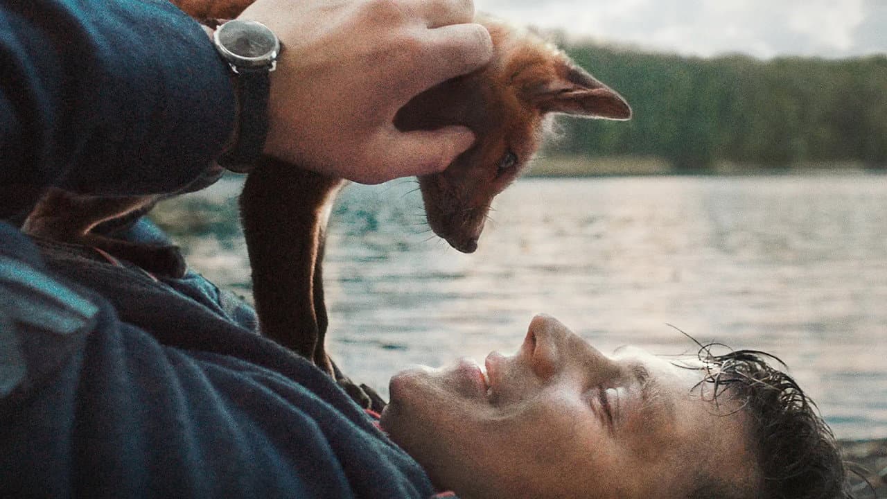 The Fox still 7