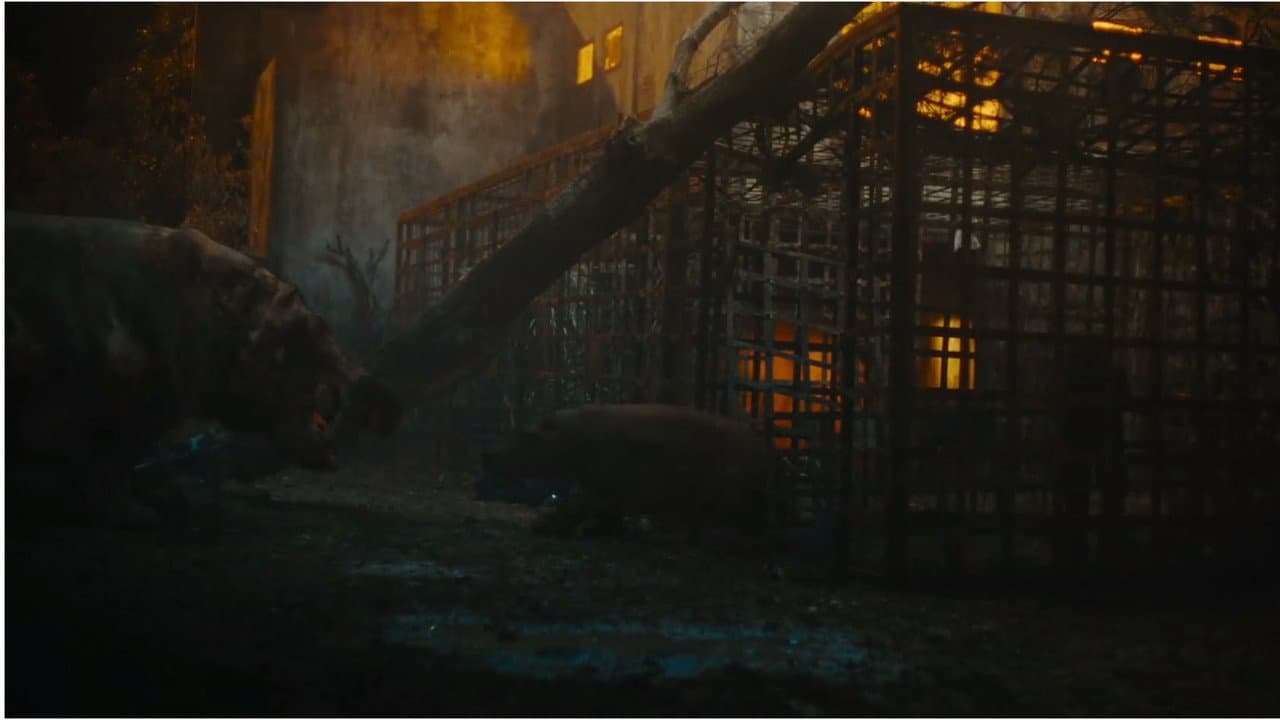 Hungry still 7