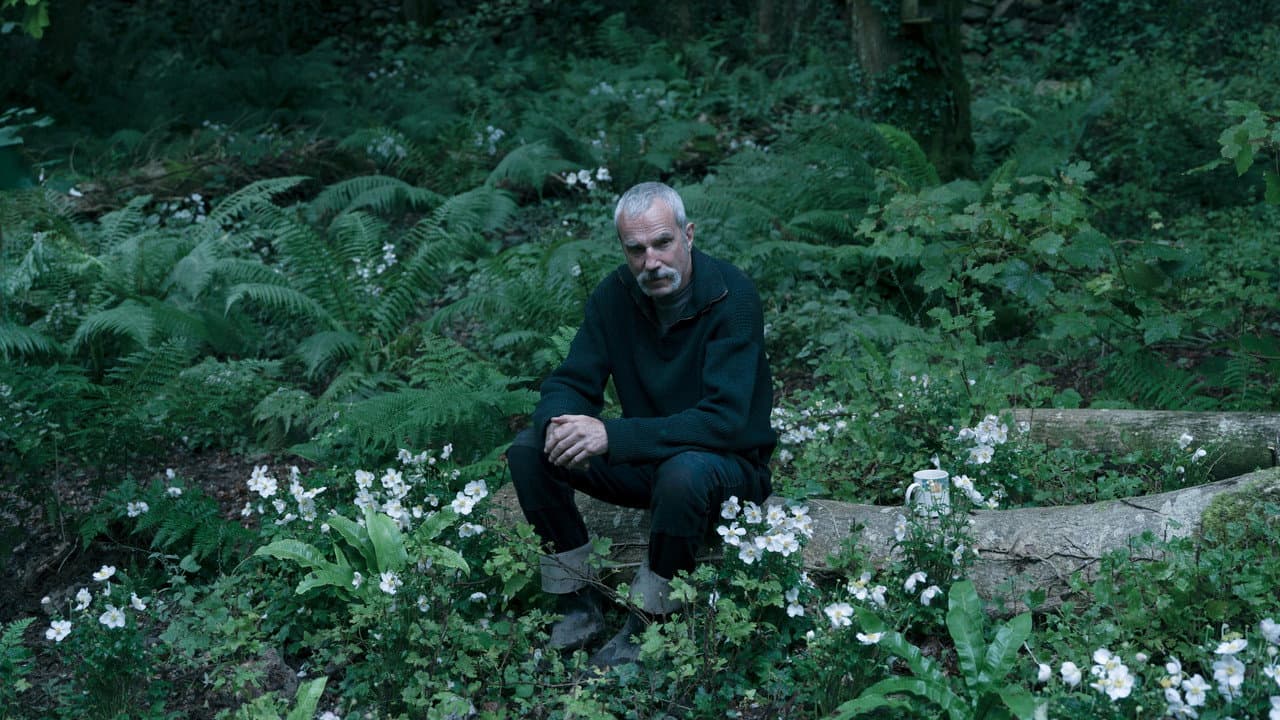 Anemone still 3