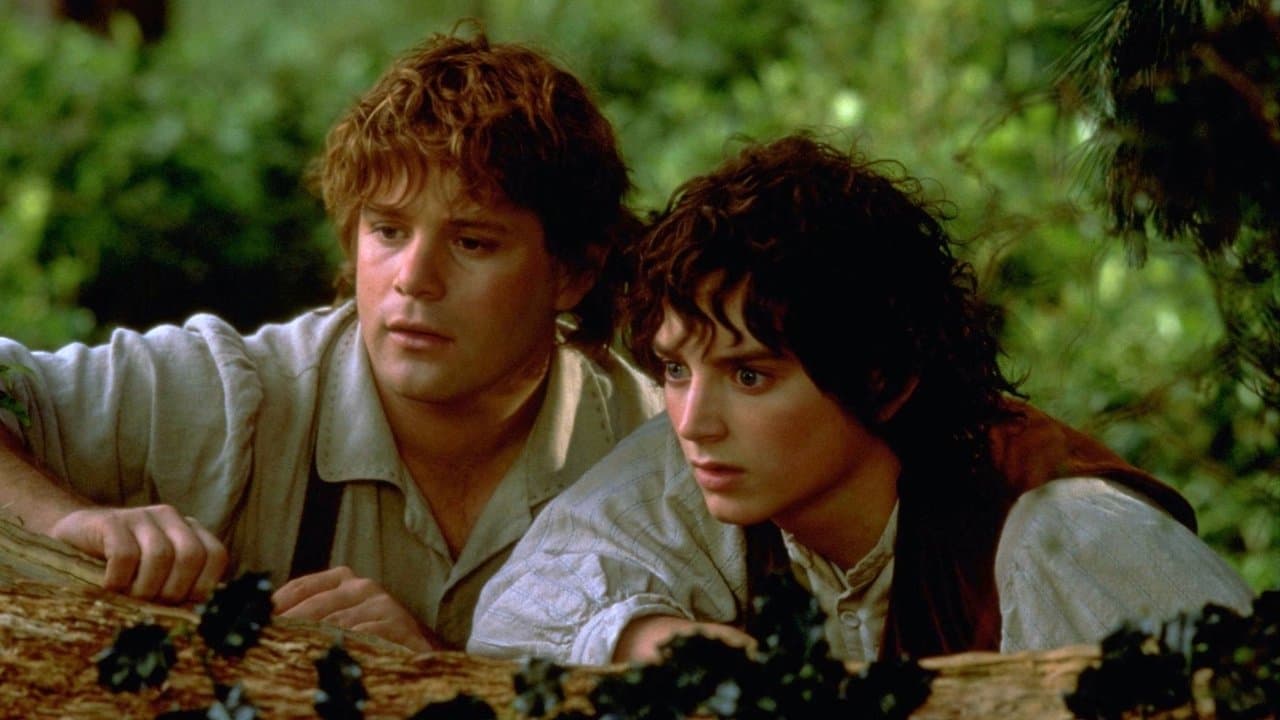 The Lord of the Rings: The Fellowship of the Ring still 7