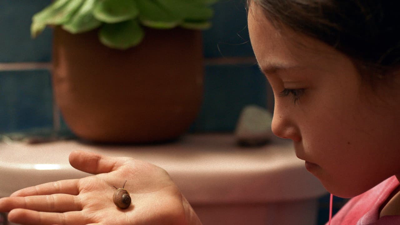 Tótem still 6