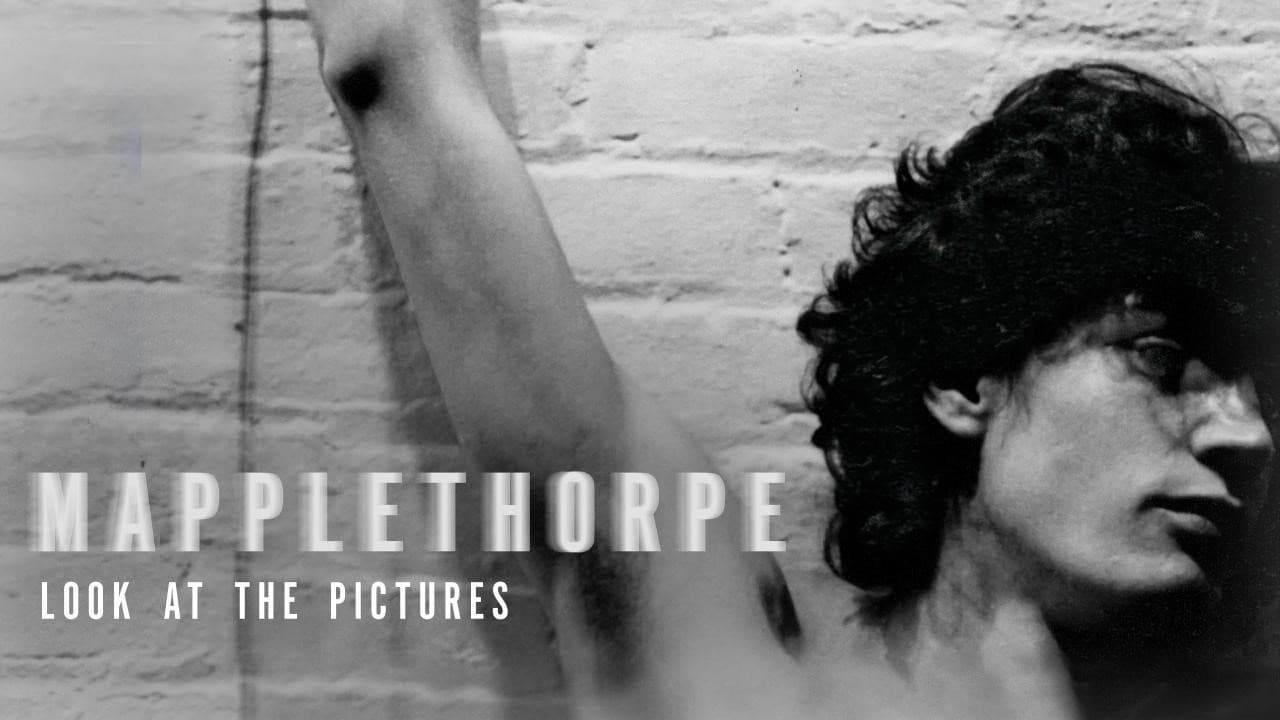 Mapplethorpe: Look at the Pictures still 2