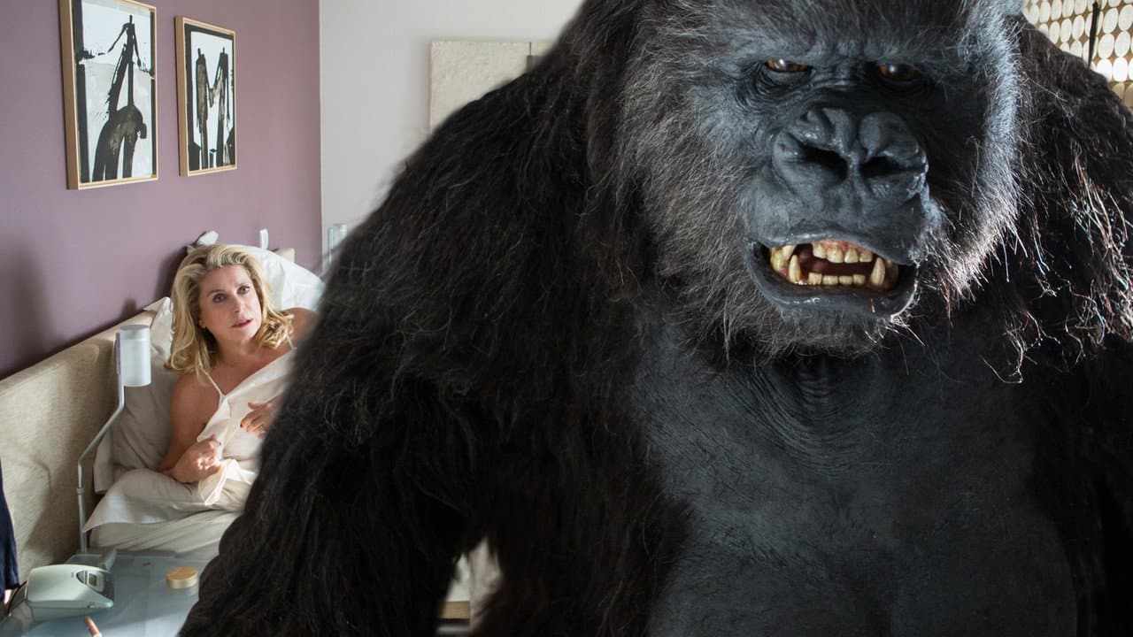The Brand New Testament still 5