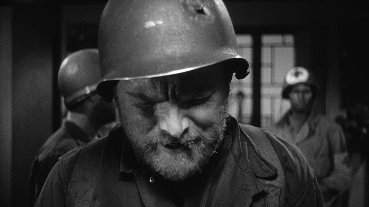 The Steel Helmet still 1