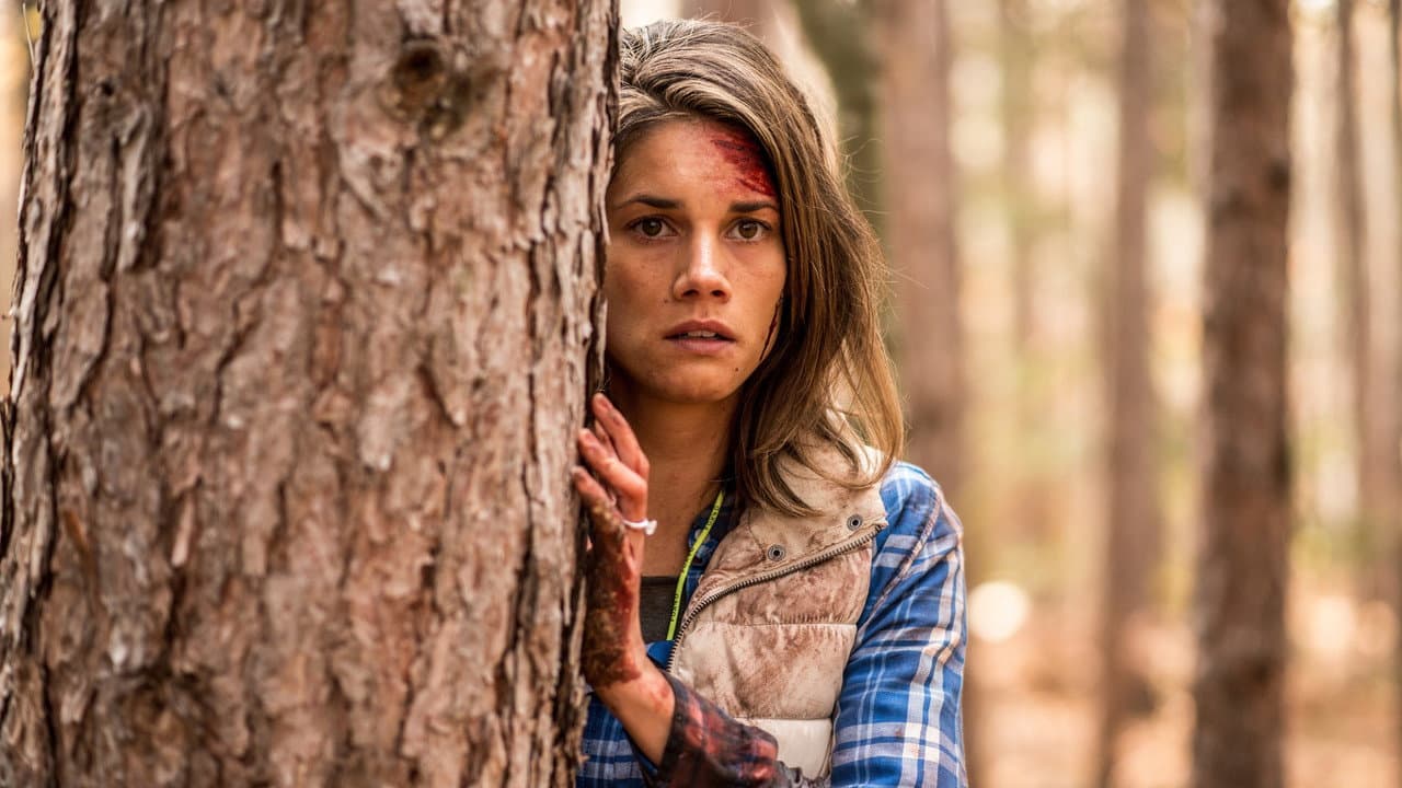 Backcountry still 2