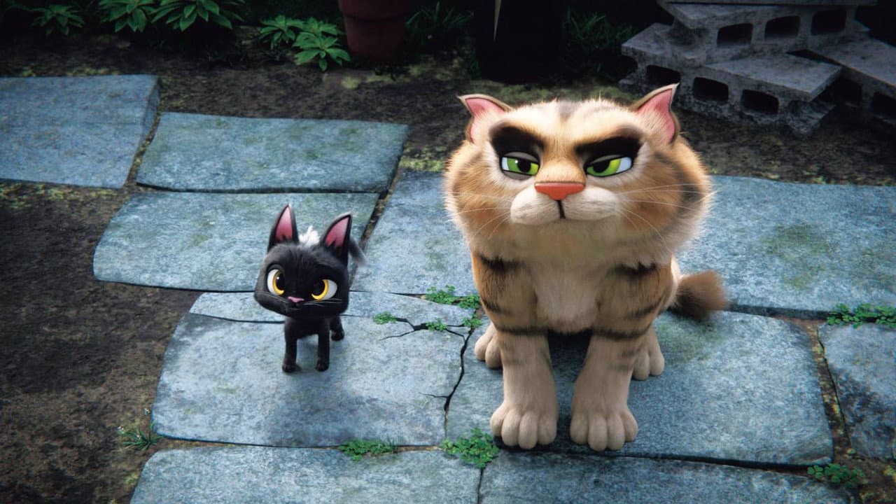 Rudolf the Black Cat still 4