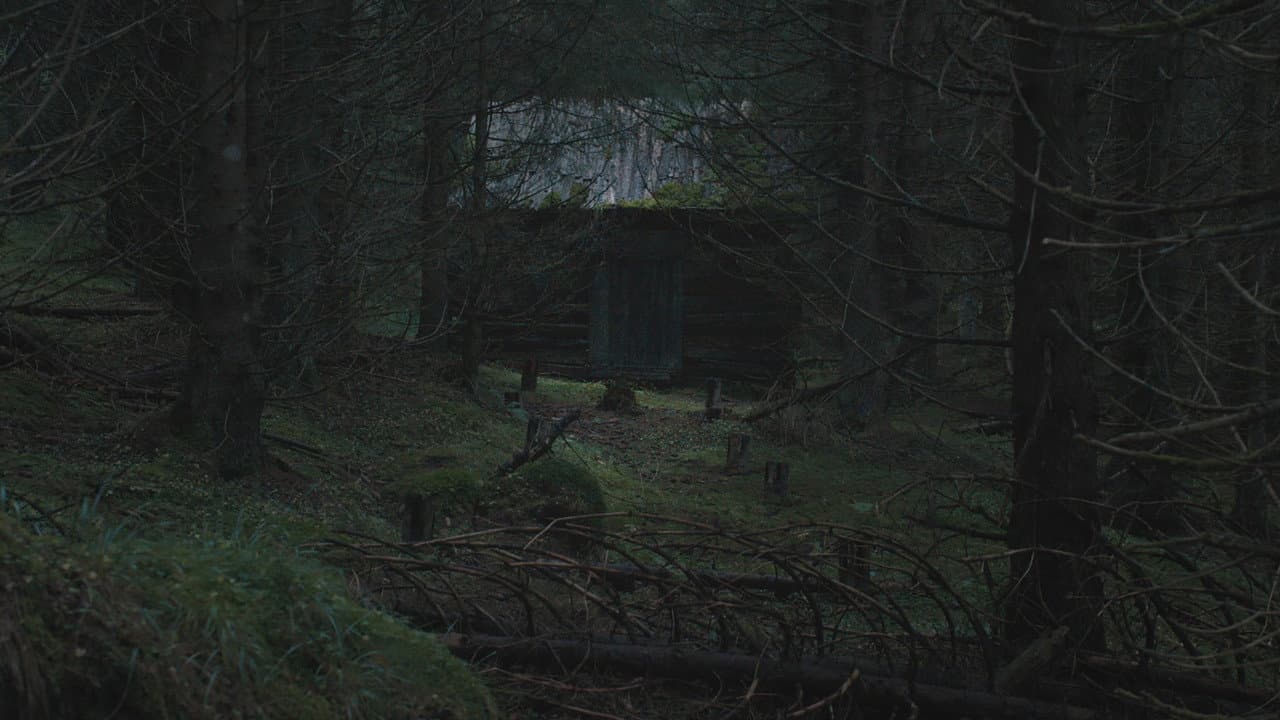 The Ritual (2017) - Horror Review & News still 2