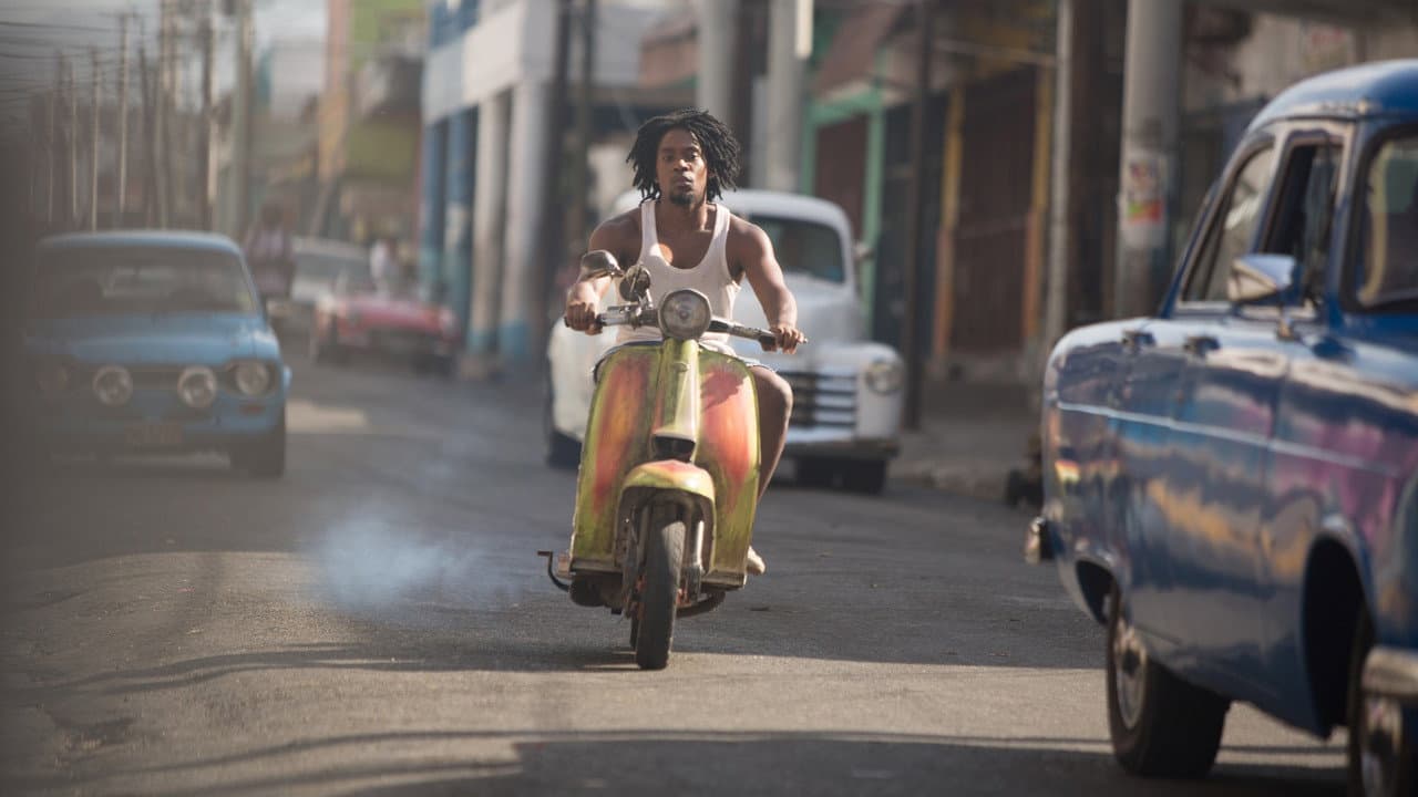 Yardie still 1