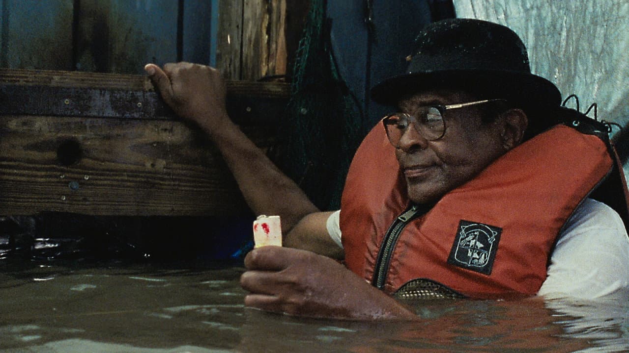 Beasts of the Southern Wild still 7