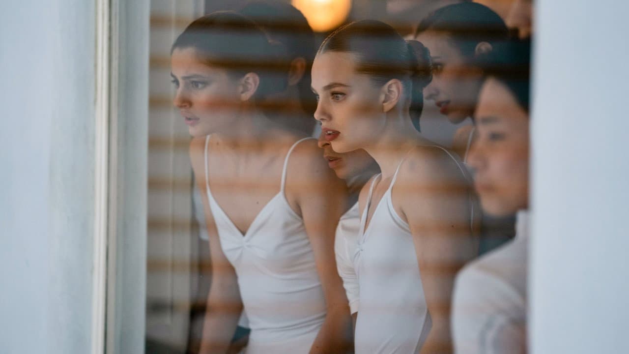 Birds of Paradise still 7