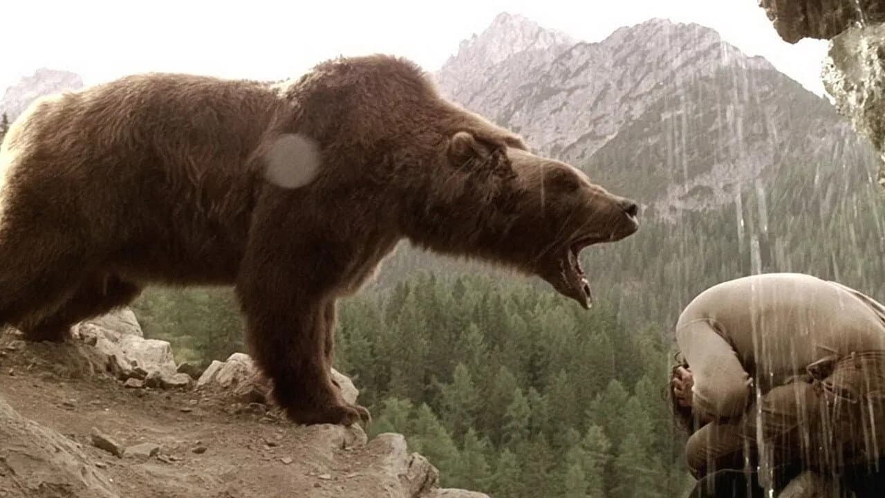 The Bear still 6