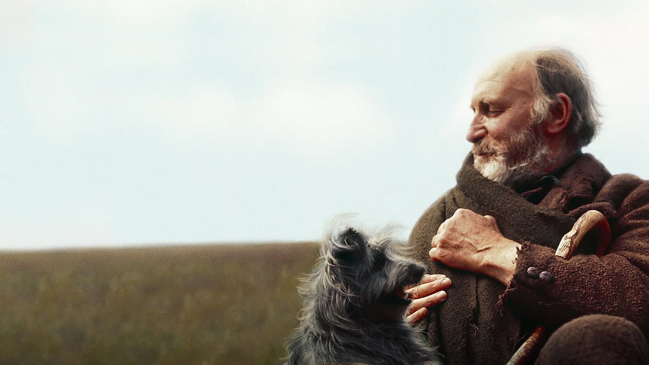 Greyfriars Bobby still 3