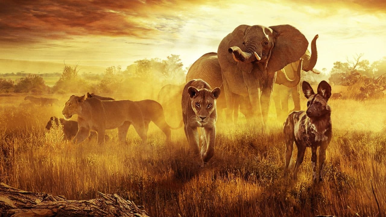 Surviving Paradise: A Family Tale still 1