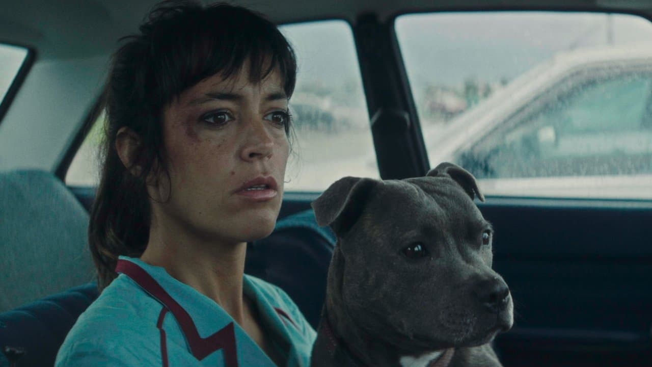 Vincent Must Die Remake: French Thriller Gets still 5