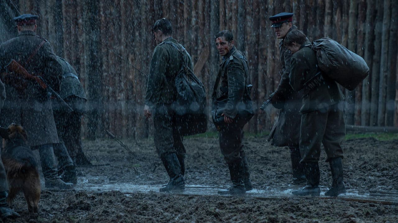 The Truce still 2