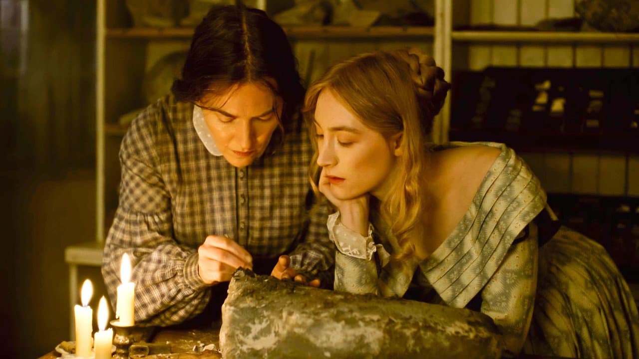 Ammonite still 4