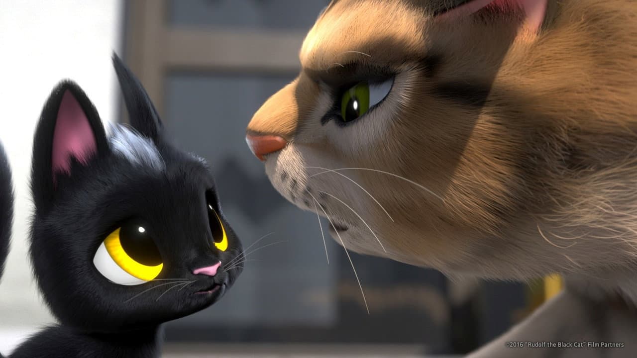 Rudolf the Black Cat still 2