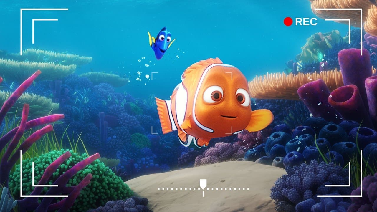 Dory's Reef Cam still 1