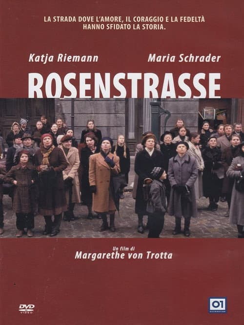 Rosenstrasse still 7