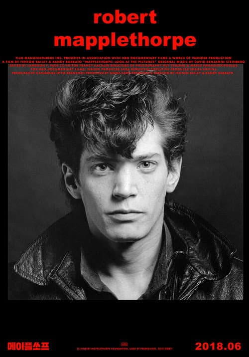 Mapplethorpe: Look at the Pictures still 8